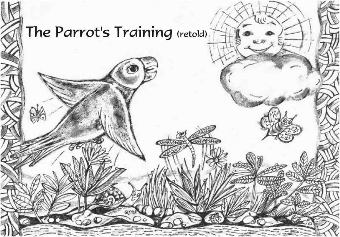 Parrots training image-title